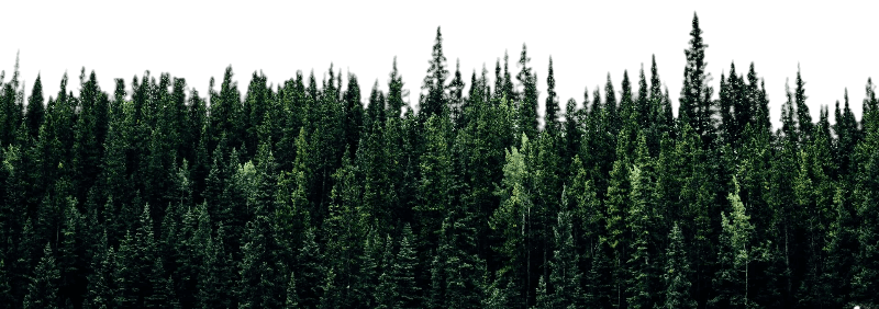 Green Sfondo