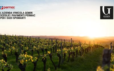 Gemin azienda produttrice di spumante, sceglie Permac