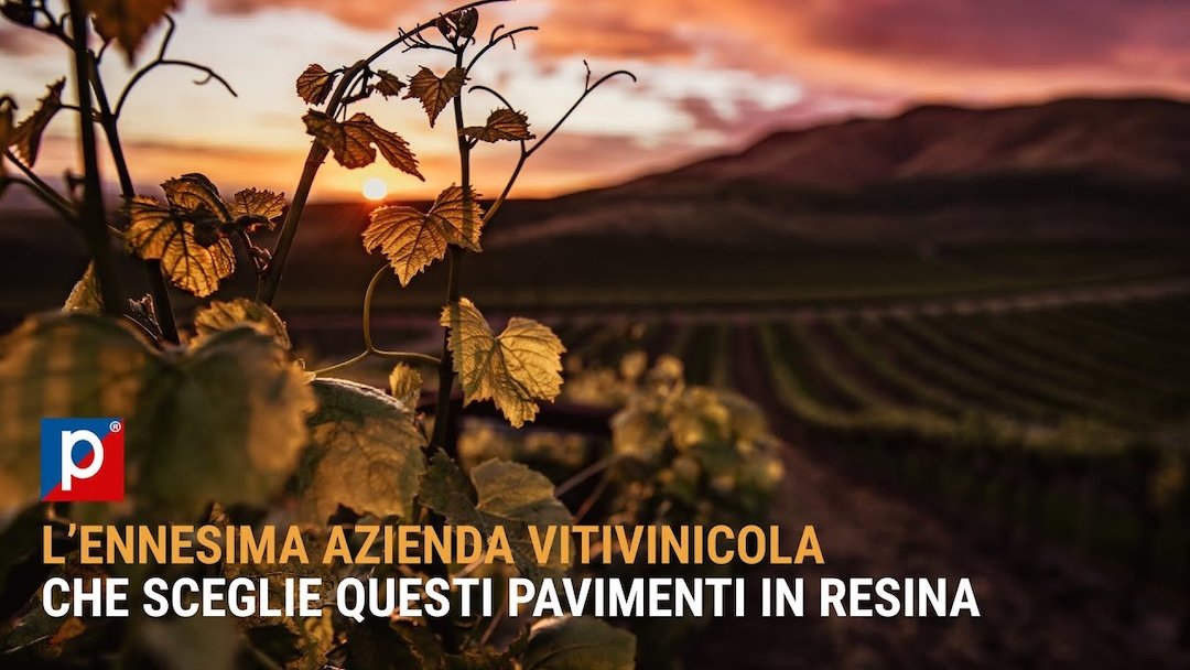 Cantina Vitivinicola Ballancin Permac