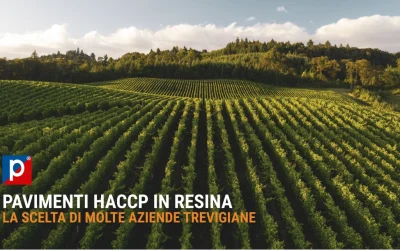 Pavimenti in resina HACCP Treviso: guida locale